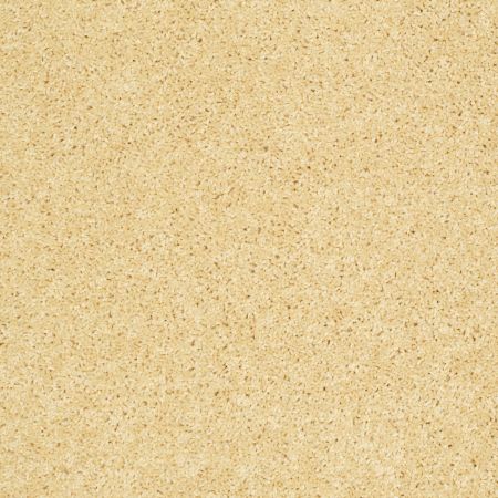 Shaw Floors SHAW FLOORING GALLERY Kid's Club Lemon Drop