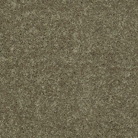 Shaw Floors SHAW FLOORING GALLERY Union City III 12' Aloe