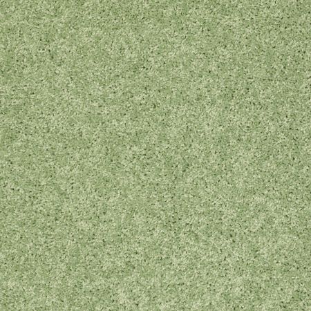 Shaw Floors SFA Kids Rule Limeade