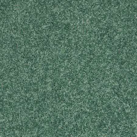 Shaw Floors SFA Kids Rule Leap Frog