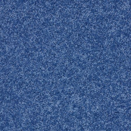 Shaw Floors SHAW FLOORING GALLERY Kid's Club Cobalt Vibe