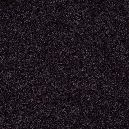 Shaw Floors SFA Kids Rule Pirate Patch