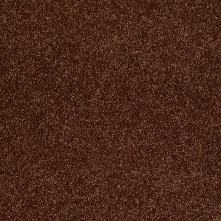 Shaw Floors SHAW FLOORING GALLERY Union City III 12' Flower Pot