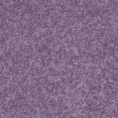 Shaw Floors SFA Kids Rule Lolli Pop