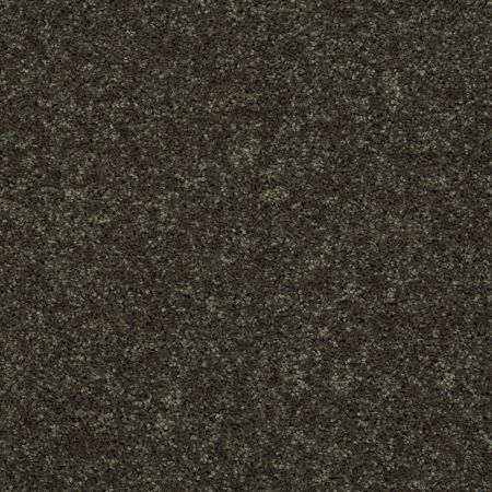 Shaw Floors All Star Weekend III 15' Garden Grove