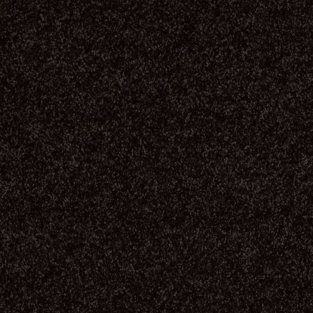 Shaw Floors SHAW FLOORING GALLERY Union City III 15' Armour