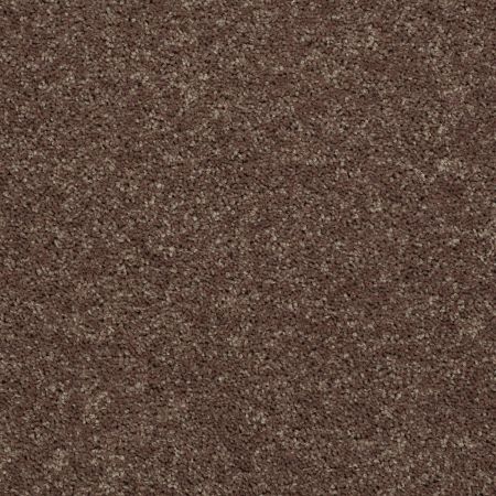 Shaw Floors SHAW FLOORING GALLERY Union City III 15' Cattail