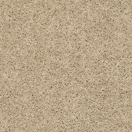 Shaw Floors Go Big Pearlescent