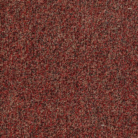 Philadelphia Commercial ARBOR VIEW (T) China Berry