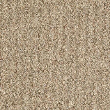 Philadelphia Commercial NATURAL PATH Tree House