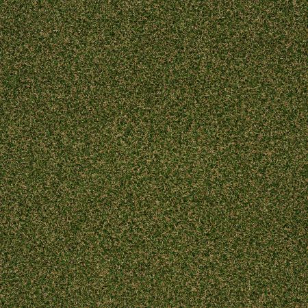 Philadelphia Commercial PERFORMANCE TURF PARK CENTRAL Sea Grass