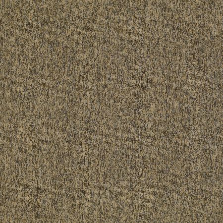 Philadelphia Commercial Multiplicity Abundance