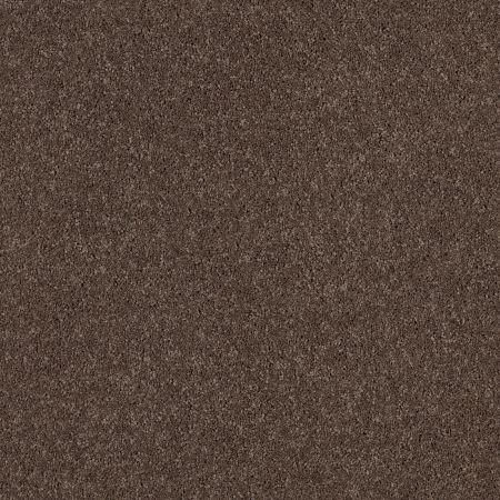 Anderson Tuftex Cashmere Classic I Spring - Wood