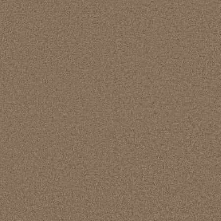 Anderson Tuftex Cashmere Classic III Pebble Path