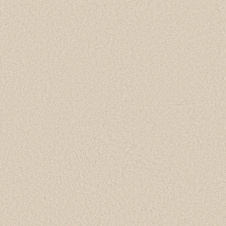 Shaw Floors SFA Loyal Beauty III China Pearl