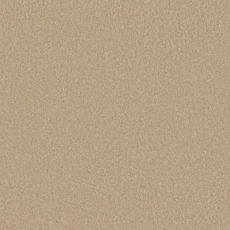 Shaw Floors SFA Loyal Beauty III Mesa