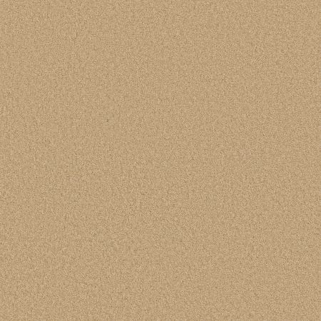 Shaw Floors SFA Loyal Beauty III Blonde Cashmere