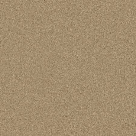 Shaw Floors SHAW FLOORING GALLERY Grand Image III Taffeta