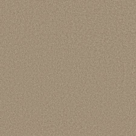 Shaw Floors SFA Loyal Beauty III Clay Stone