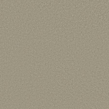 Shaw Floors SFA Loyal Beauty III City Scape