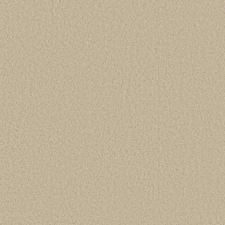 Shaw Floors SHAW FLOORING GALLERY Grand Image III Pale Cream