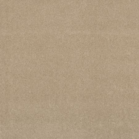 Shaw Floors ST JUDE Butterfly Kisses III Caramel Ice