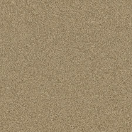 Shaw Floors SHAW FLOORING GALLERY Grand Image III Cologne Mist