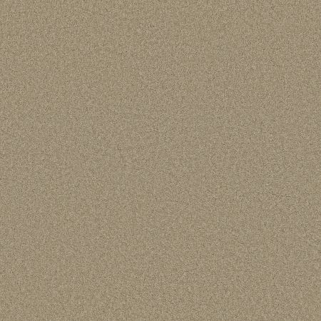 Shaw Floors SHAW FLOORING GALLERY Grand Image III Stucco