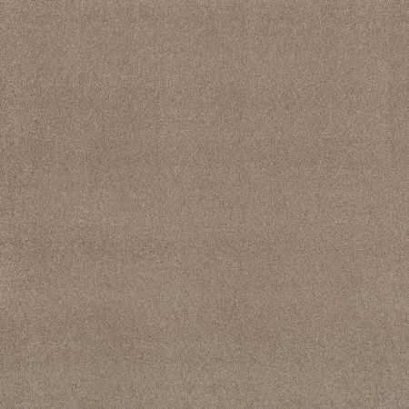 Shaw Floors FOUNDATIONS Keen Senses Ii Espresso