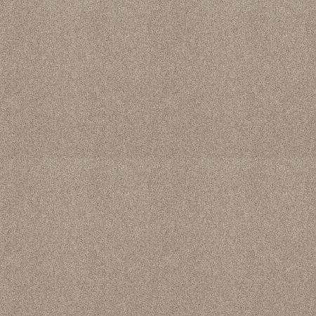 Shaw Floors ST JUDE Butterfly Kisses III Camisole