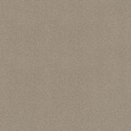 Shaw Floors ST JUDE Butterfly Kisses III Satin Shimmer