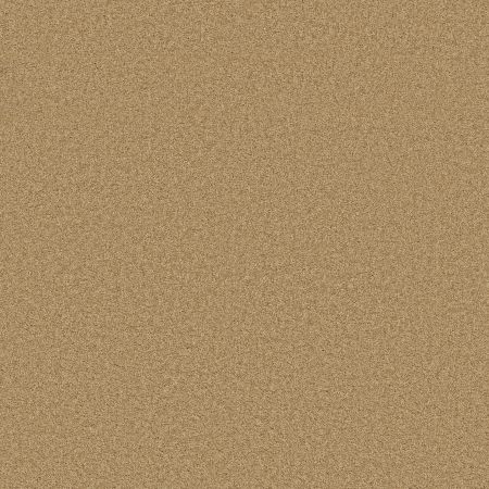 Shaw Floors SHAW FLOORING GALLERY Grand Image III Sun Shower