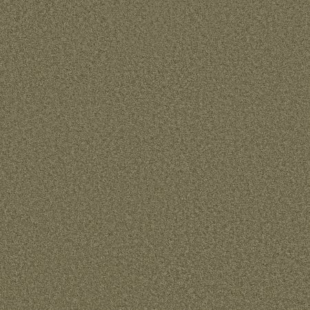 Shaw Floors SFA Loyal Beauty III Summerhouse