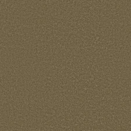 Shaw Floors SFA Loyal Beauty III Bonsai