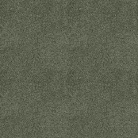 Shaw Floors FOUNDATIONS Keen Senses Ii Lush Garden