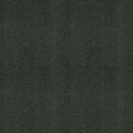 Shaw Floors ST JUDE Butterfly Kisses III Winding Vine