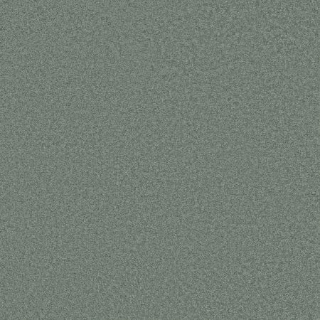 Shaw Floors SHAW FLOORING GALLERY Grand Image III Fairy Tale