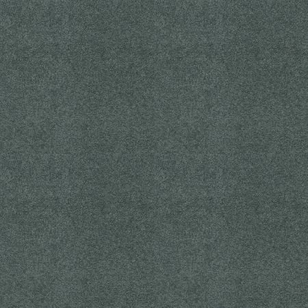 Shaw Floors FOUNDATIONS Keen Senses Ii Oceanside