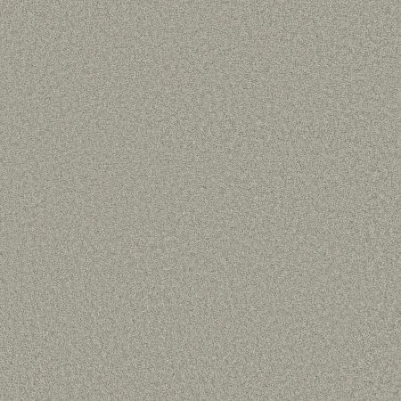 Shaw Floors SHAW FLOORING GALLERY Grand Image III Sheer Silver