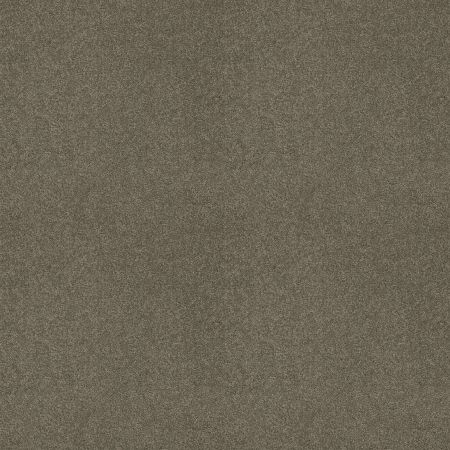 Shaw Floors SHAW FLOORING GALLERY Grand Image III Grey Flannel