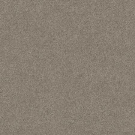 Shaw Floors FOUNDATIONS Keen Senses Ii Lady In Gray