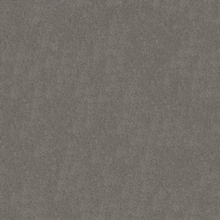 Shaw Floors FOUNDATIONS Keen Senses Ii Slate