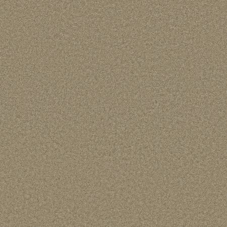 Shaw Floors Enduring Comfort III Driftwood