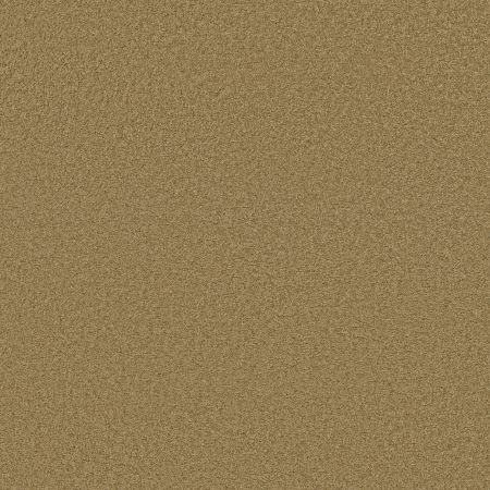 Shaw Floors SFA Loyal Beauty III Country Wheat