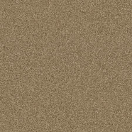 Shaw Floors SHAW FLOORING GALLERY Grand Image III Twig