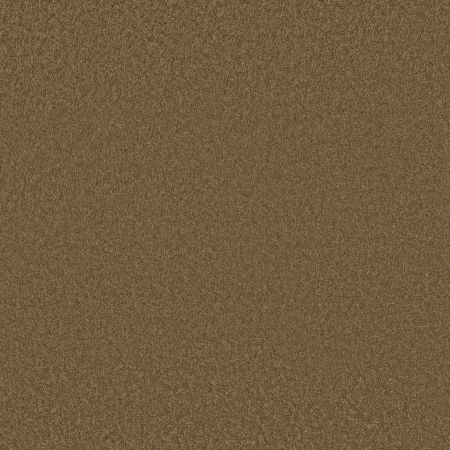 Shaw Floors Enduring Comfort III Cabin