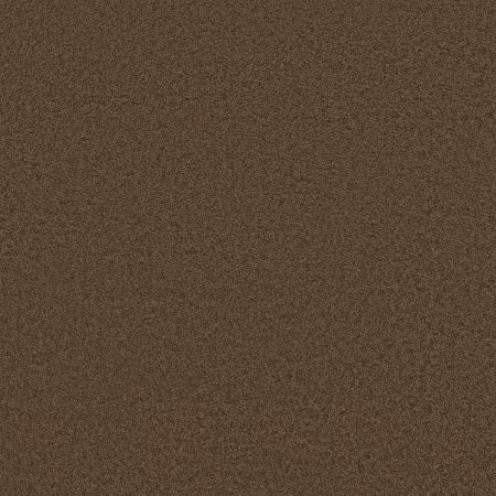 Shaw Floors Enduring Comfort III Apple Butter