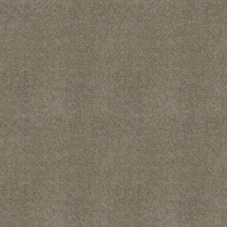 Shaw Floors FOUNDATIONS Keen Senses Ii Mocha