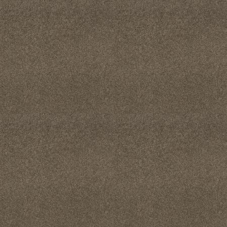 Shaw Floors SFA My Inspiration III Flax