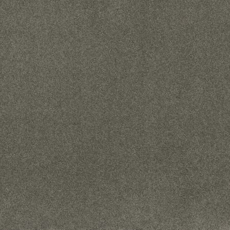 Shaw Floors SFA My Inspiration III Fog